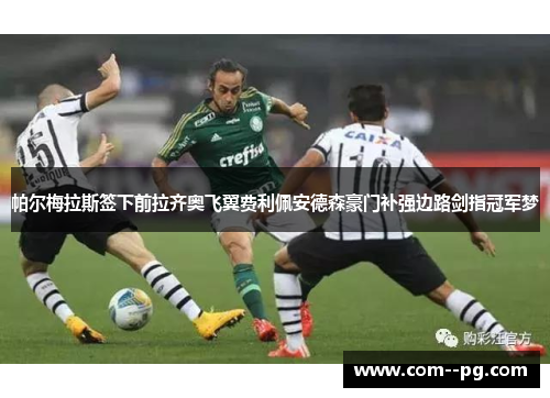 帕尔梅拉斯签下前拉齐奥飞翼费利佩安德森豪门补强边路剑指冠军梦