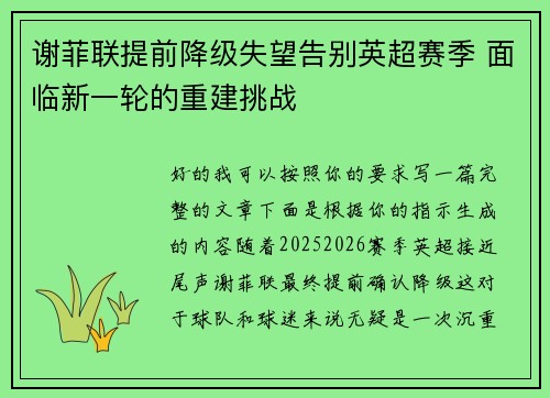 谢菲联提前降级失望告别英超赛季 面临新一轮的重建挑战